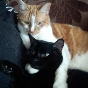 Meet your Posher, Jenn